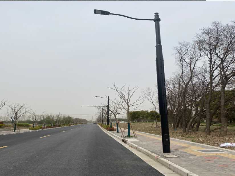 石鼓区上海综合杆 太阳能路灯工程